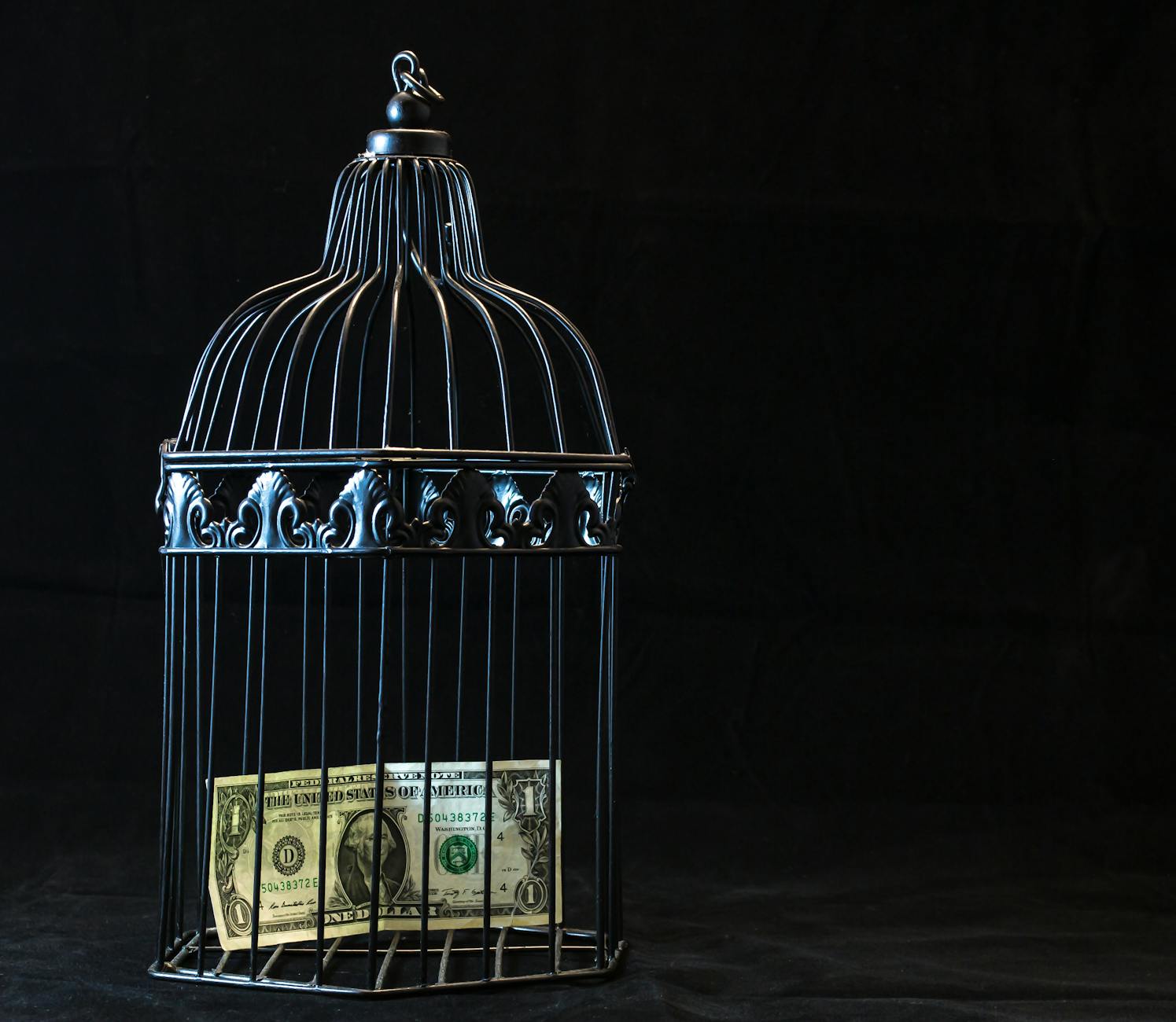 black steel pet cage with one dollar